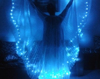 New Egyptian handmade bellydance Led Wings, dance costumes