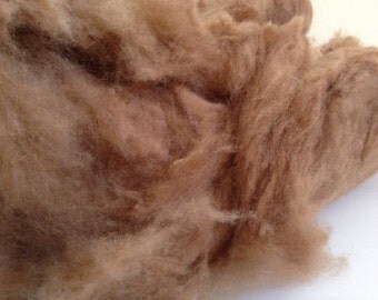 Natural Camel dehaired for spinning, blending, and more