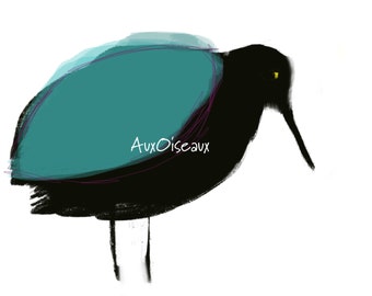 Oiseau noir, turquoise, dessin numérique original, impression de qualité, type giclée. Cadre non-inclus.
