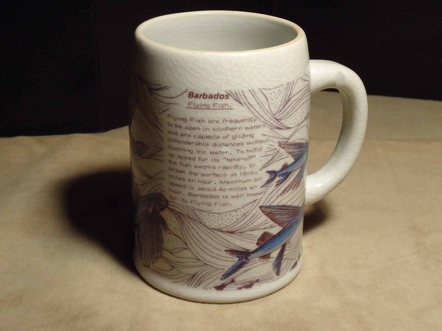 Barbados Flying Fish Beer Stein