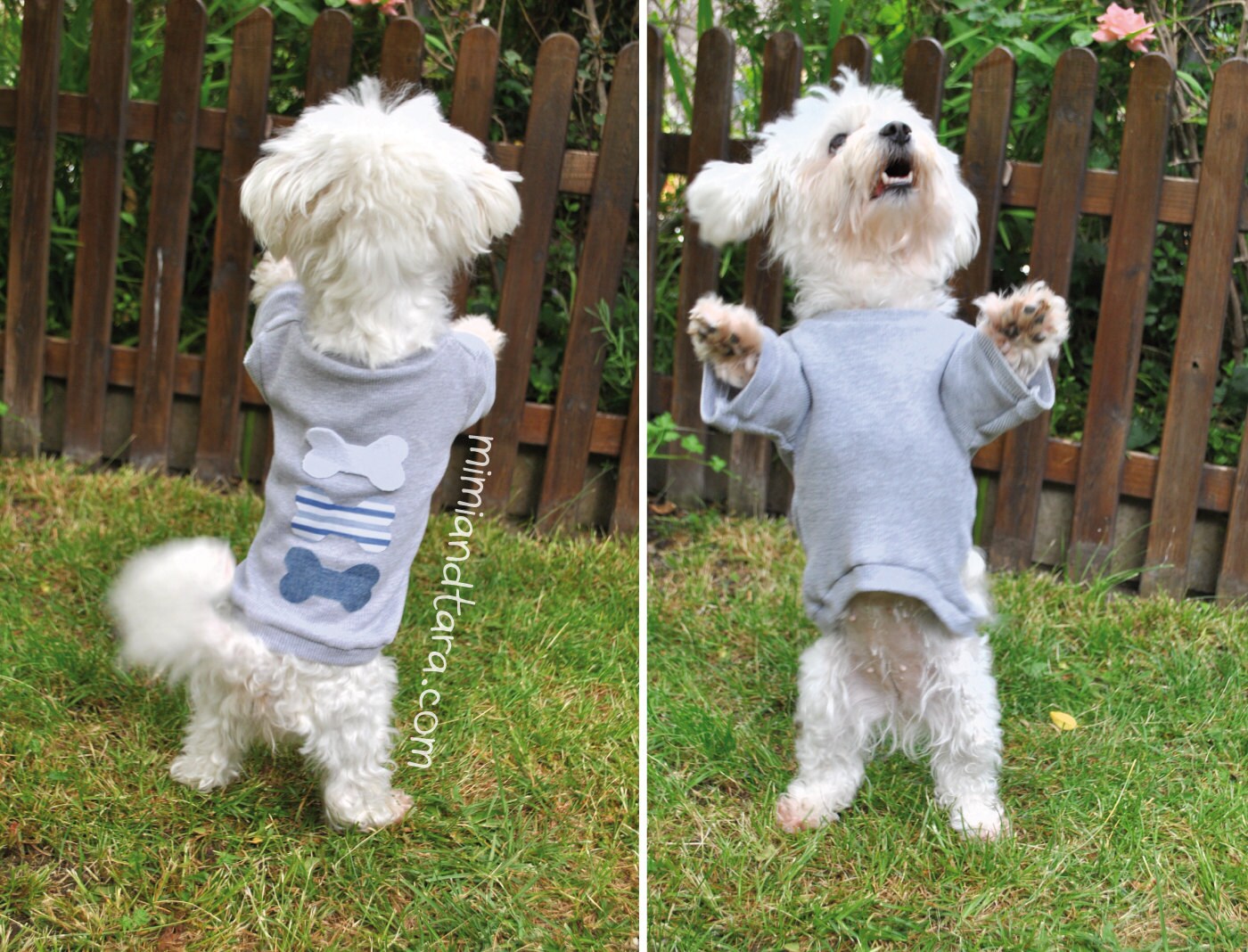 Dog Sweater Pattern size S Sewing Pattern Dog Clothes