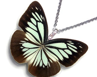 Real Butterfly Wing Necklace / Pendant (WHOLE Pareronia Boebera Butterfly - W111)