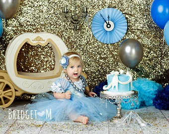 Cinderella costume, princess custom costume 12 months