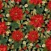 Christmas Splendor Panel Quilt Kit  Quilt Fabric Poinsettia  Holiday 42" x 62"