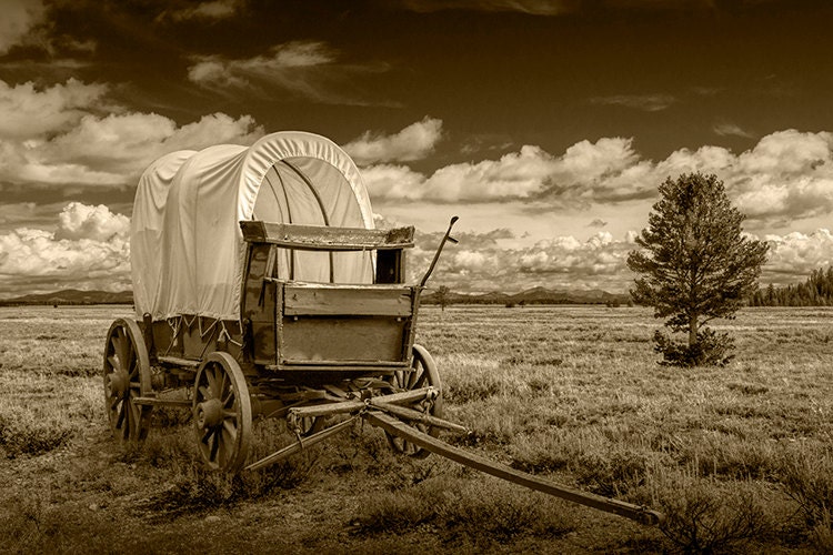Frontier Prairie Schooner Covered Wagon in the by RandyNyhofPhotos