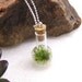 Terrarium Necklace, 20 inch, 925 Sterling Ball Chain, Terrarium, Moss, Green, Birthday Present, Gift for Her, Under 25