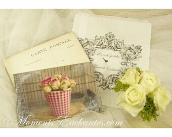 Postcard France Dijon "Les roses" carterie artistique
