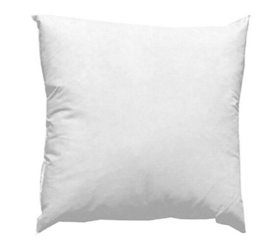 24x24 pillow insert