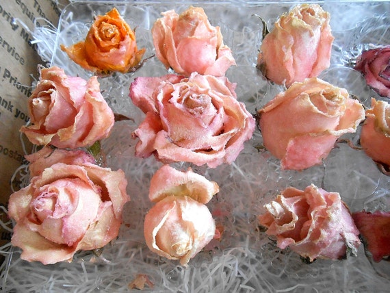 flowers sugar longer last Candied Pastels, Cake FASHIONED Toppers OLD ROSES, Flowers, Edible 12