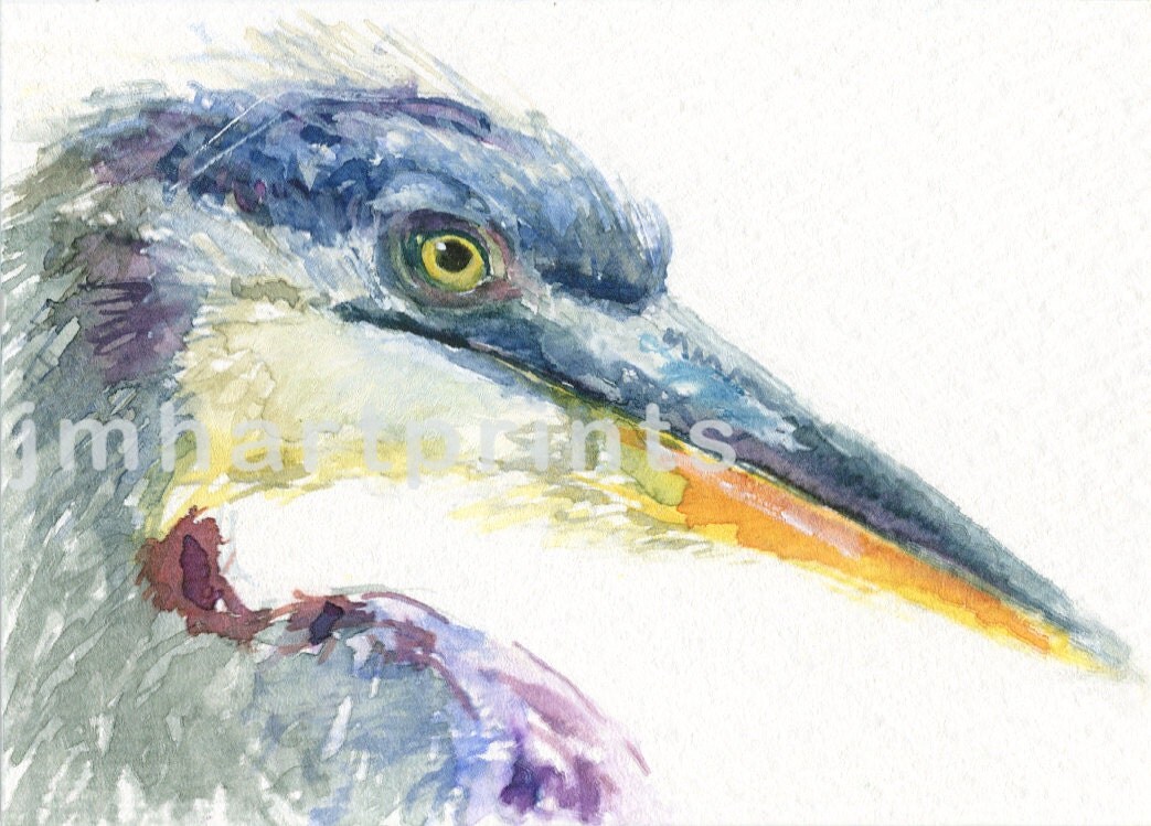 Watercolor Blue Heron Blue Heron Print