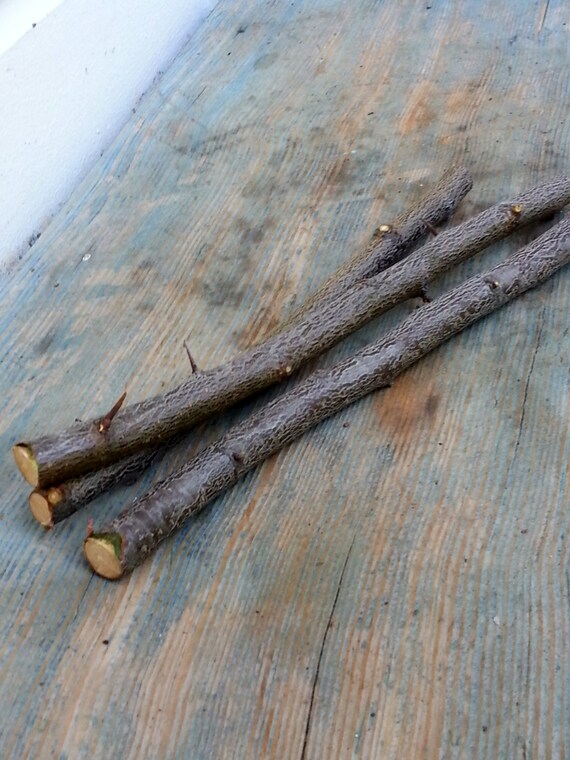 3 blackthorn wood sticks wand wood celtic wood sacred wood