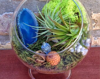 Agate and Air Plant Terrarium in either Globe or Footed Vessel - One of a Kind Fathers Day or Birthday Gift