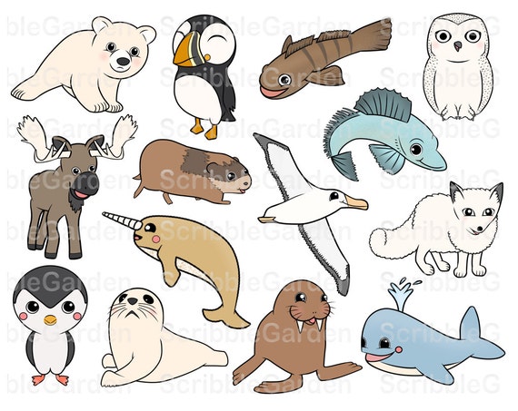 Habitat Animals: Polar Ice ClipArt by ScribbleGarden on Etsy