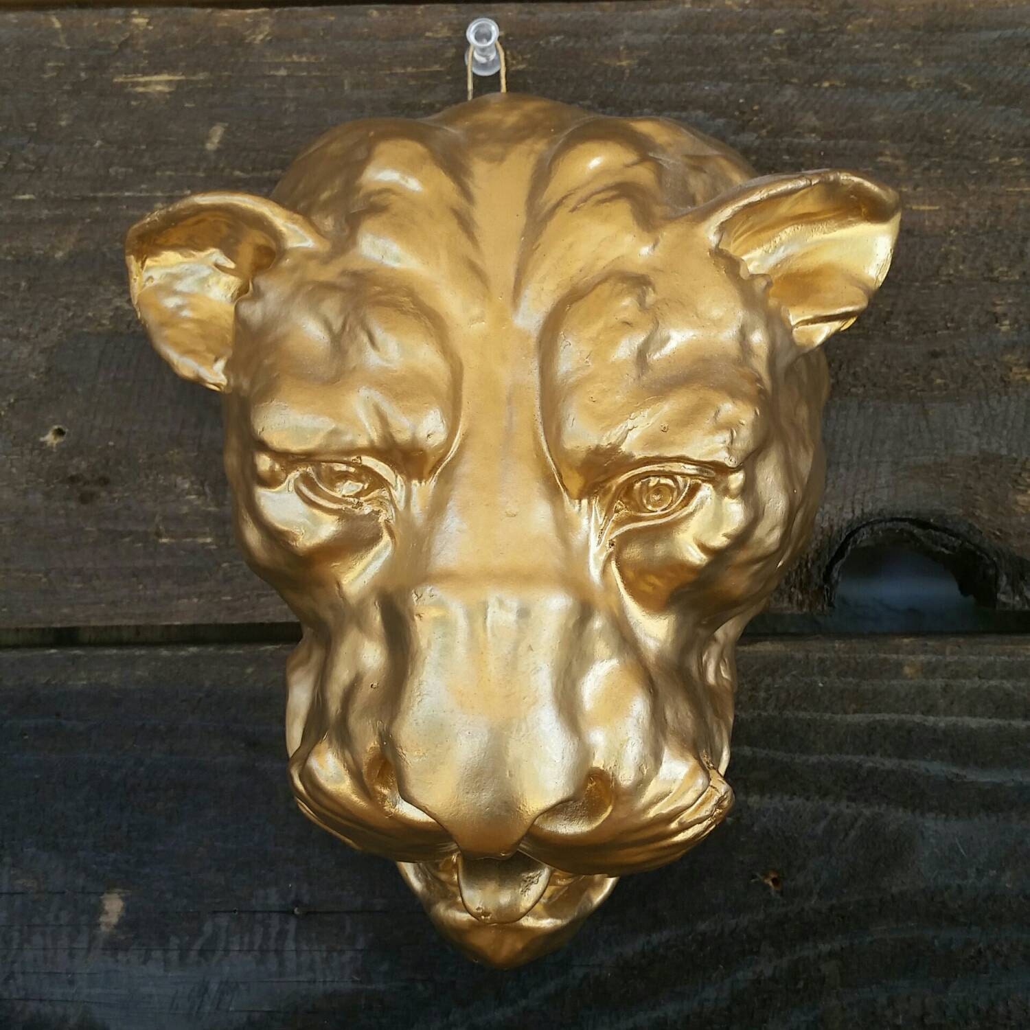 Lion Head Vintage Lioness Wall Hanging Animal Decor by PIVOT180