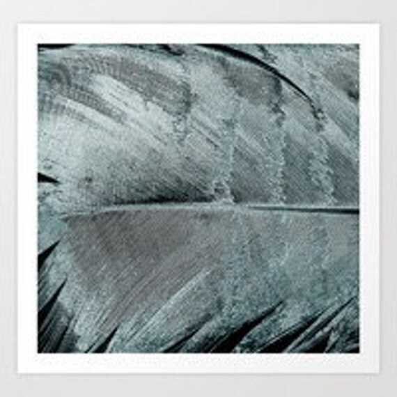Steel Blue Feather art print wall art photo art by WhiteRoofGifts