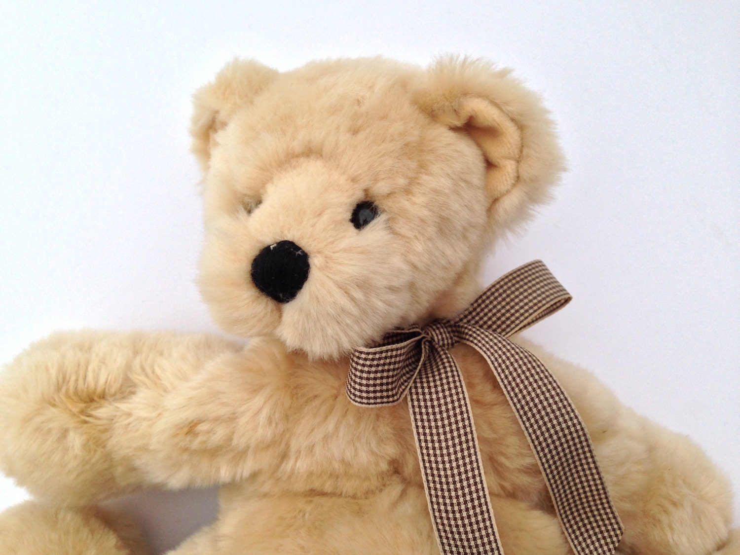 brown gund bear