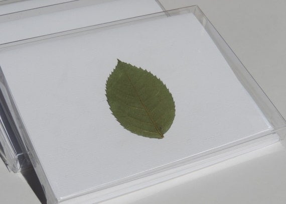 Pack of 5 Blank Designer Leaf Note Cards, Cotton Linen Paper, Cotton Linen Envelope, Pressed Plants, Green Leaf Note Card, Blank Note Card