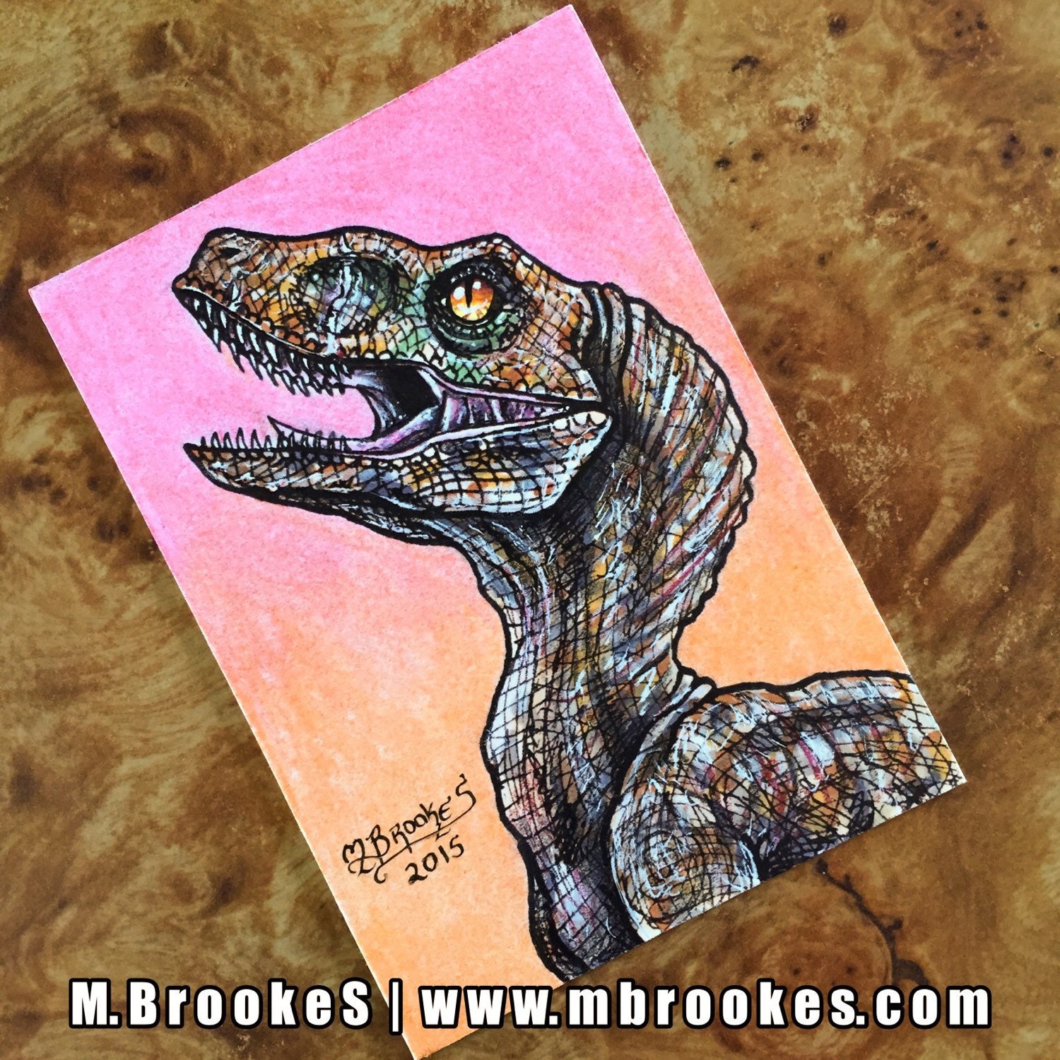 echo the velociraptor