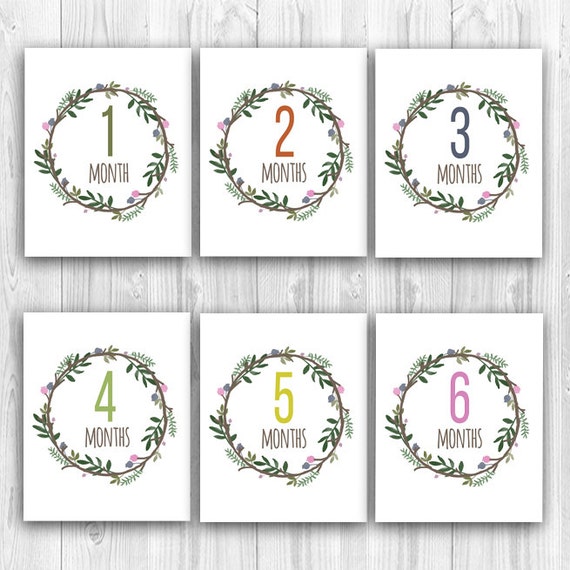 printable-baby-girl-milestone-cards-instant-download-monthly