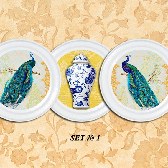 Peacock decor peacock plates peacocks feather peacock art