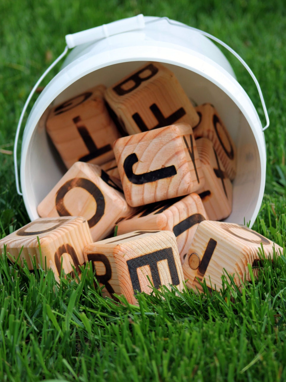 Pic-a-Word Letter Yard Dice Game