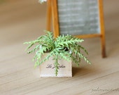 Dollhouse Miniature Plants - Green Fern in Shabby Pot