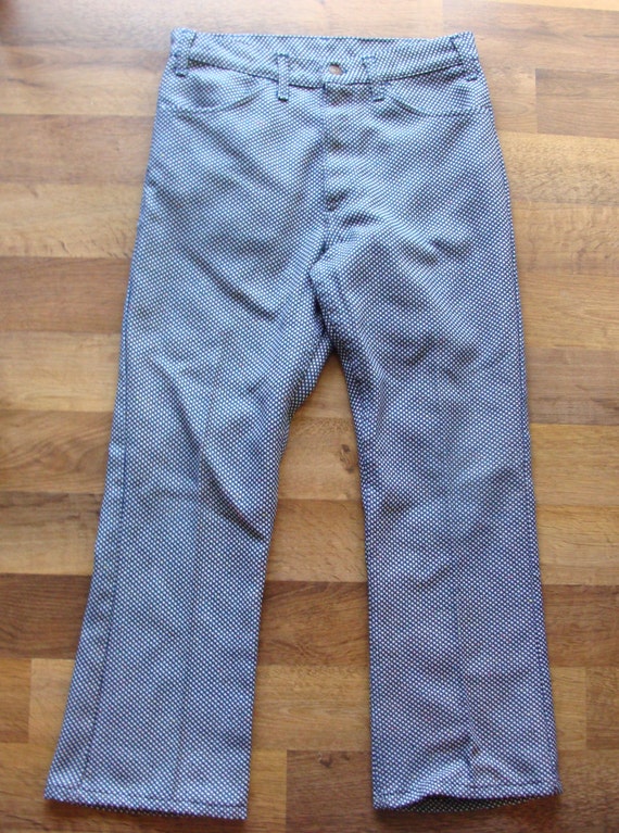 Levi's Sta-Prest vintage 1970s Polyester Pants mens size