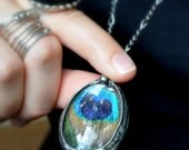 Two Sided Peacock Necklace, Jewel Tones, Paon, Real Peacock Feather, Bohemian Style (2292b) Two Sided Peacock Necklace, Jewel Tones, Paon, Real Peacock Feather, Bohemian Style (2292b)