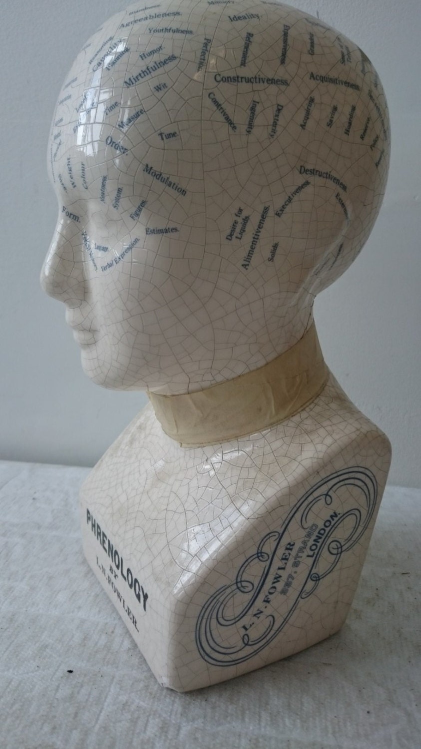Vintage Phrenology Ceramic Bust Head Model Medical Figure