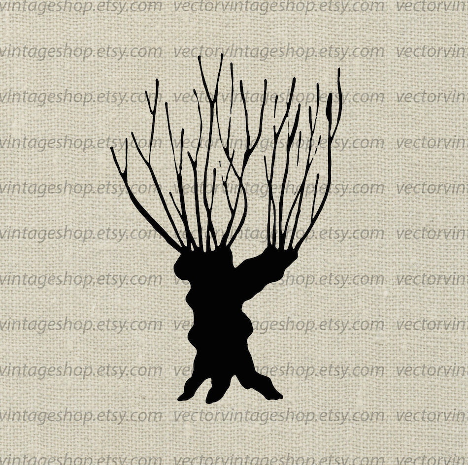 Willow Tree Vector Clipart Bare Tree Trunk Silhouette Clip