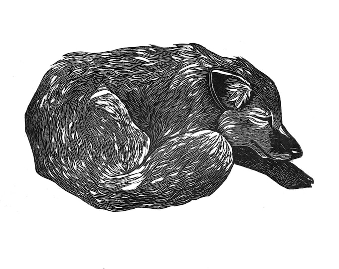 Sleeping Fox - Original Linocut A4 Relief Print, Animals, Nature, Foxes
