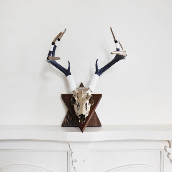 Handpainted Deer Skull with Antlers European Mount Deer