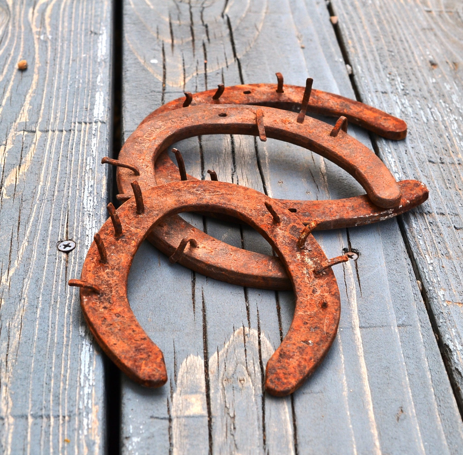 3 Vintage Horseshoes Antique Horse Shoes Instant Collection