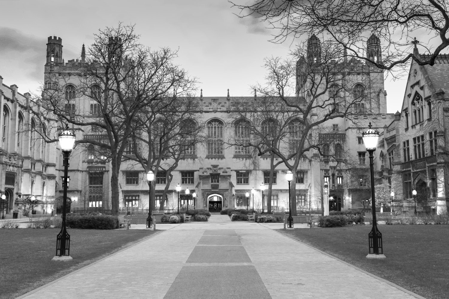 Chicago Architecture Black And White chicago university photograph harper memorial library Chicago Architecture Black And White chicago university photograph harper memorial library