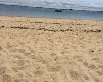 2 Cups of Provincetown Cape Cod Beach Sand - Your Own Piece of Paradise