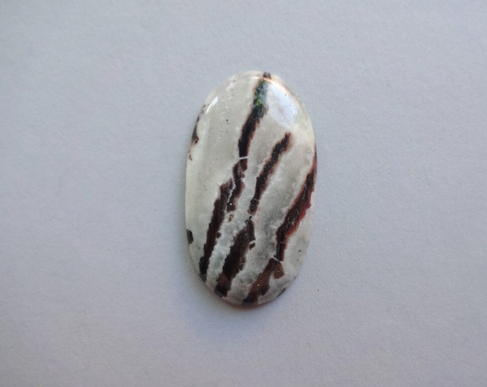 black and white zebra jasper black and white zebra jasper