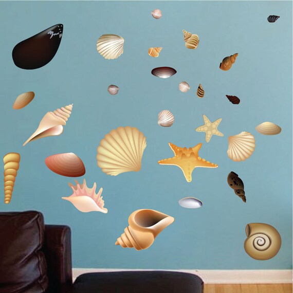Seashell Wall Mural Decals Seashell Design Pack by PrimeDecal