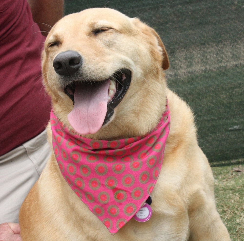 Large Dog Bandana Dog Scarf Pet Bandana Pet by IntleAfrikaFashion