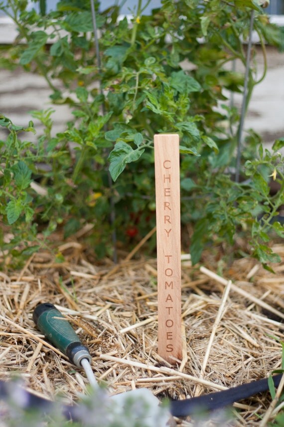 Garden plant label stakes engraved custom wooden set plant