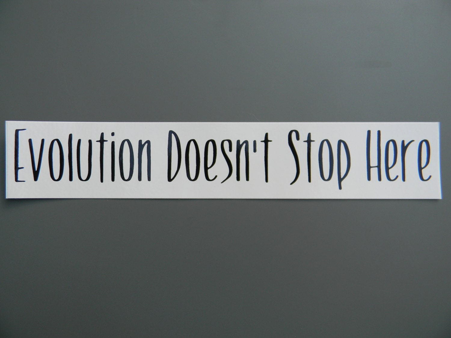 2 x 9 sticker Evolution Doesn't Stop Here Vinyl Decal by Brainisms