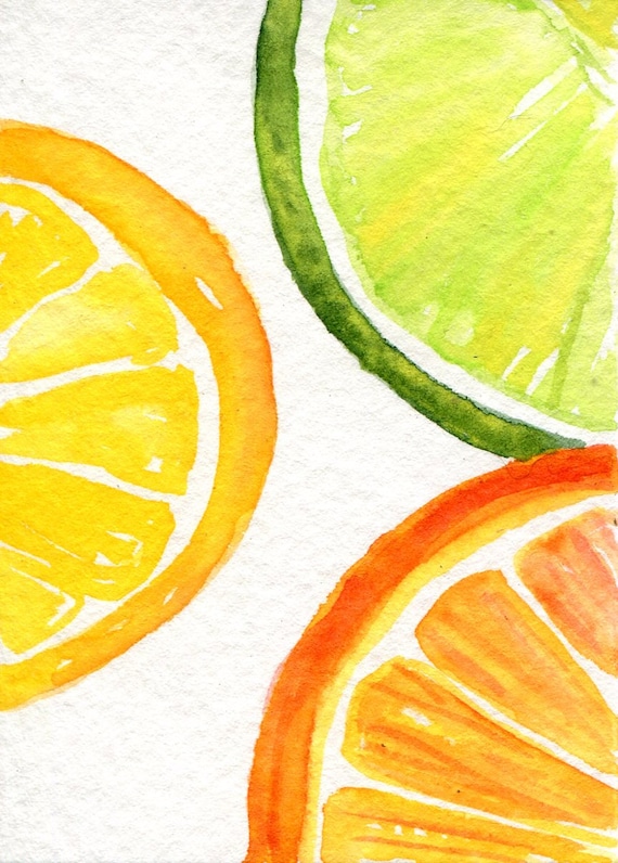 Orange Lemon Lime slices Watercolors Paintings by SharonFosterArt