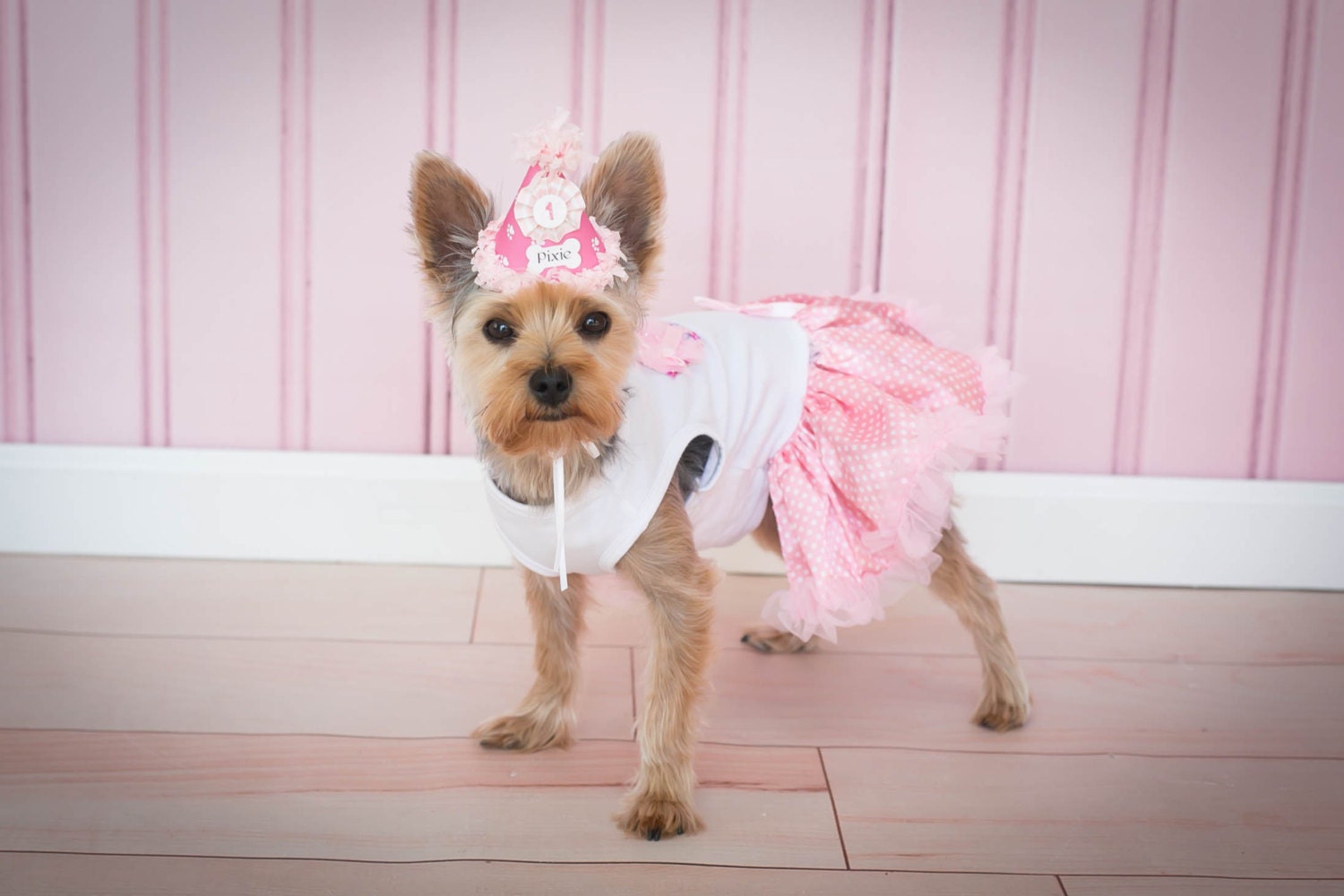 Girl Dog Party Hat Personalized by PartyDecorandMoore on Etsy