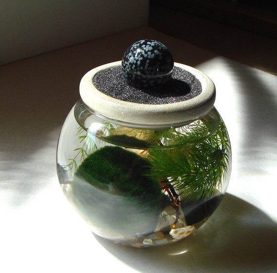 SALE Zen. Garden. Sphere. Stone Top. Marimo Ball. Unique. by MyZen