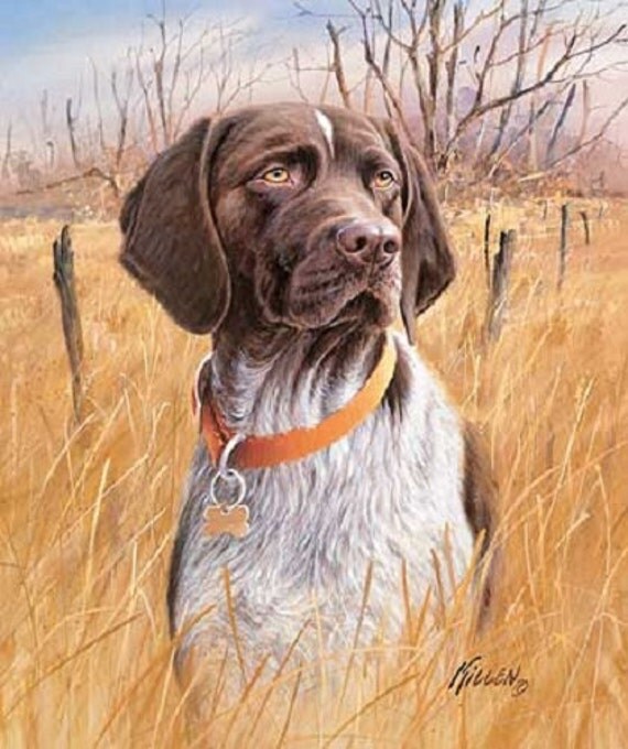 GERMAN SHORTHAIR POINTER Hunting Dog on One 16 inch fabric