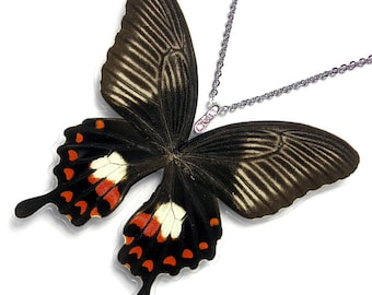 Real Butterfly Wing Necklace / Pendant (WHOLE Papilio Polytes Butterfly - W127)