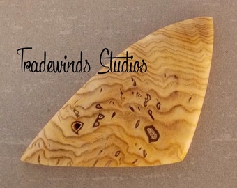Hell's Canyon Petrified Sequoia Freeform Cabochon