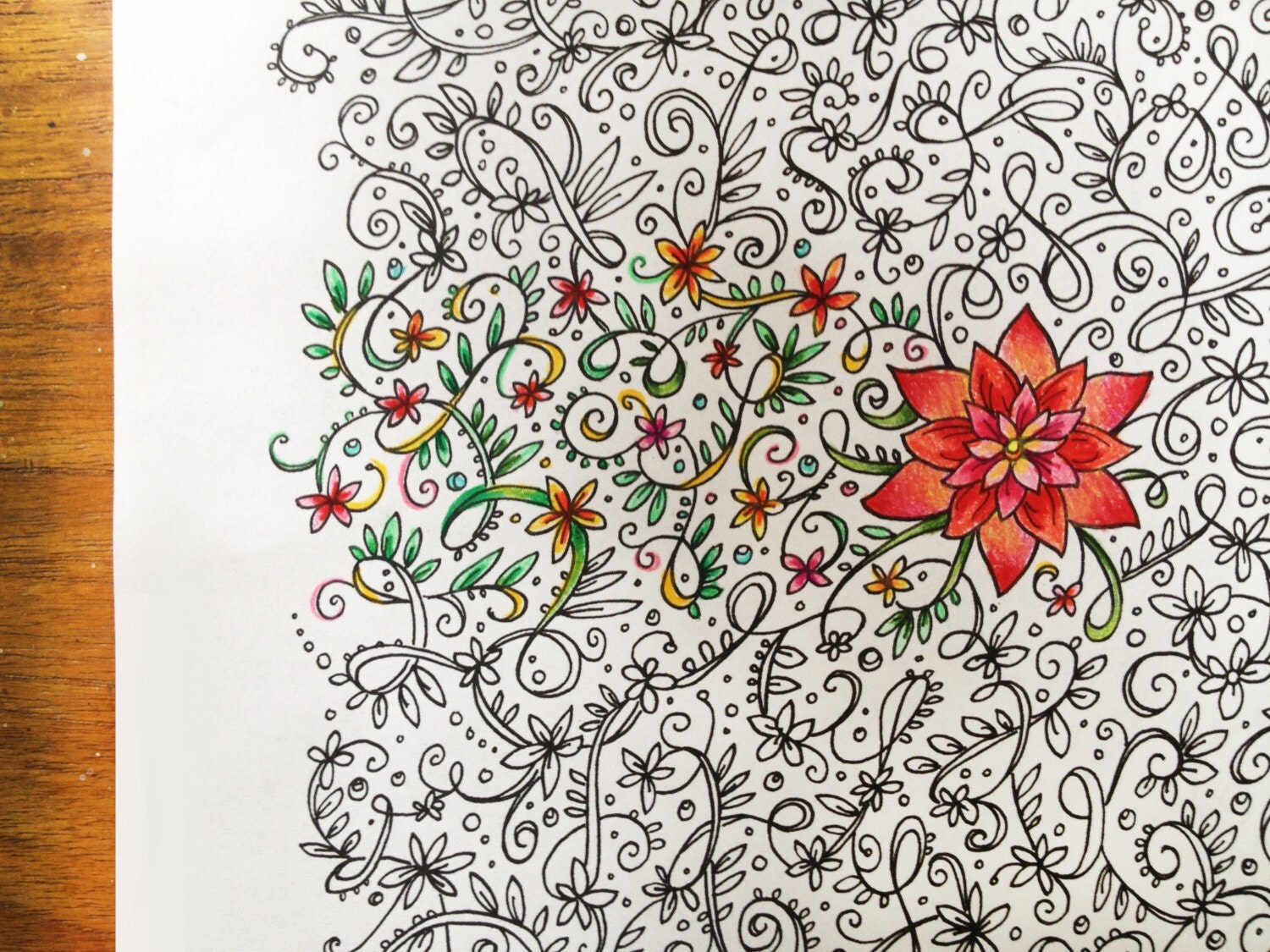 Flowers on the Vine Adult Coloring Book Single Page Instant