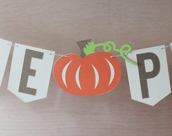 Little Pumpkin Banner - Pumpkin Baby Shower Sign - Custom Colors - 4" Pennants - Fall Photo Prop