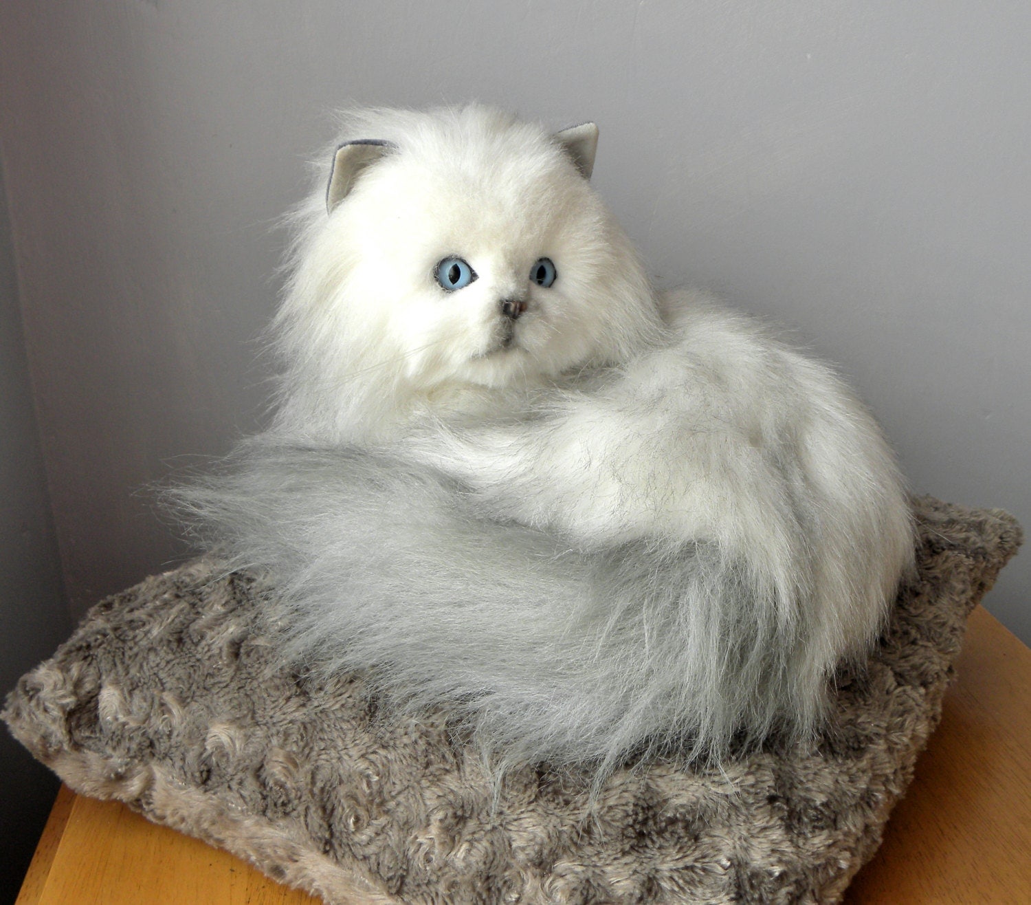 white kitten soft toy