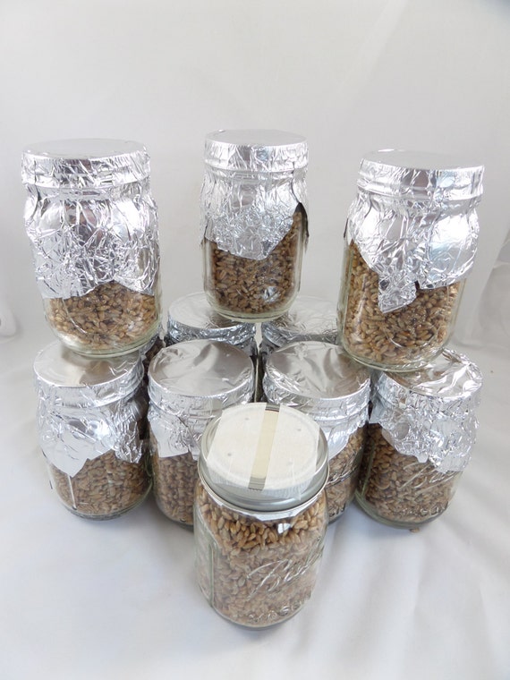 12 Rye Grain Mushroom Substrate Jar PreSterilized Ready To Be